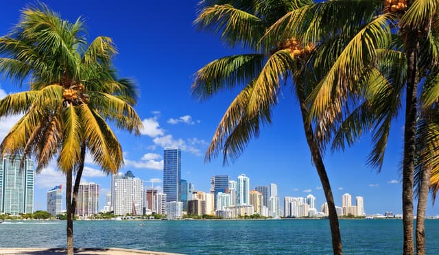 Picture of MIAMI